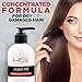 HSI Professional Argan Oil Shampoo & Conditioner Combo – Sulfate & Paraben Free Hair Care Set - Repair & Moisture For Dry Damaged & Color Treated Hair (32 Ounce)