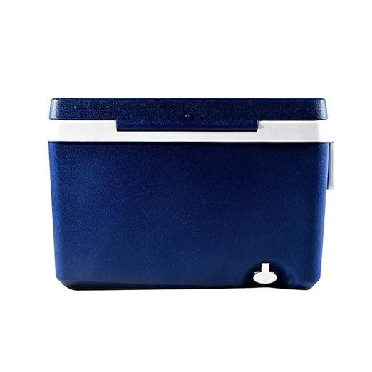 LIYANBWX - Nevera portátil de 50 l con luz de Cielo y Soporte para ...