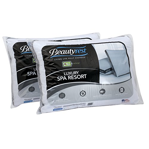 Beautyrest Luxury Spa Comfort Queen Pillow Set of 2 Pricepulse