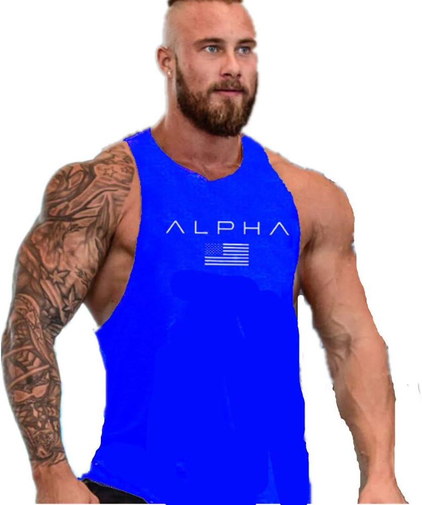 HOTCATMens Bodybuilding Muscle Vest Tank Top Stringer Gym Sport and Casual Wear Sleeveless