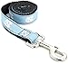 NCAA North Carolina Tar Heels Dog Leash (Team Color, Large)