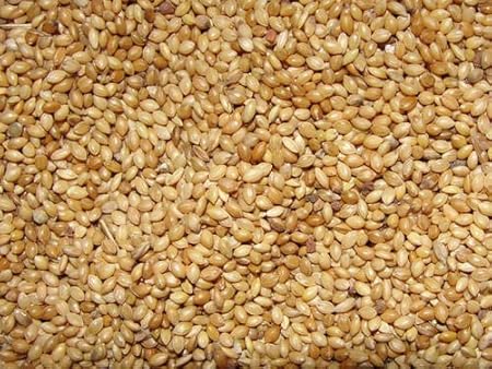 Kolkata Orchid Online Millet I White Millet I KANGNI Seeds 500 Grams Bird Food, Premium Quality Protin & Fiber Bird Feeding Seeds