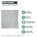 Think Crucial Replacement for Dirt Devil Style F45 Foam Exhaust Filter Fits Easy Lite Canister Vacuums, Compatible with Part # 2KQ0104000