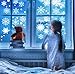 Christmas Snowflakes Window Clings 294pcs Christmas Decorations White Winter Wonderland Snowflake Stickers Decal Holiday Frozen Theme Party Ornaments Supplies for Windows Glass Doors