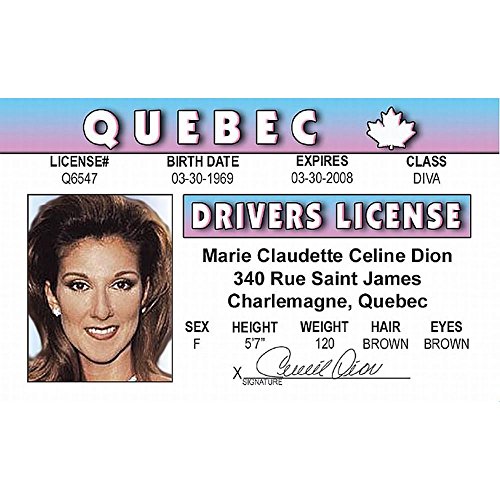 Signs 4 Fun Ncdid Celine's's Driver's License