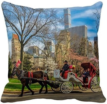 JulianArtsale Central, York33230 Retro Cotton Linen Square Throw Pillow Case Shell Decorative Cushion Cover Pillowcase 18x 18 Inches