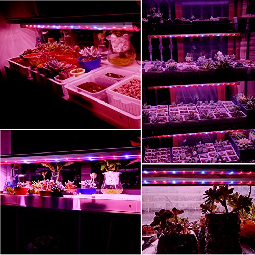 TOPLANET LED Grow Light Strip, 40W 64 LED Chips 4 Dimmable Levels Plant Light with 3H/6H/12H Timer, Red Blue Spectrum Growing Light for Indoor Plants