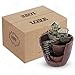 Tiny Creative Plants Pot LETOOR Flower Plants Succulent DIY Container Decorated with Mini Hanging Fairy Garden and Sweet House for Holiday Decoration and Gift