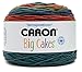 Caron Big Cakes Self Striping Yarn ~ 603 yd/551 m / 10.5oz/300 g Each (Cornucopia)