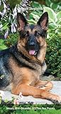 German Shepherds 2016 Two-Year Pocket Planner