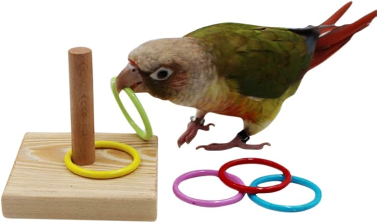interactive toys for cockatiels