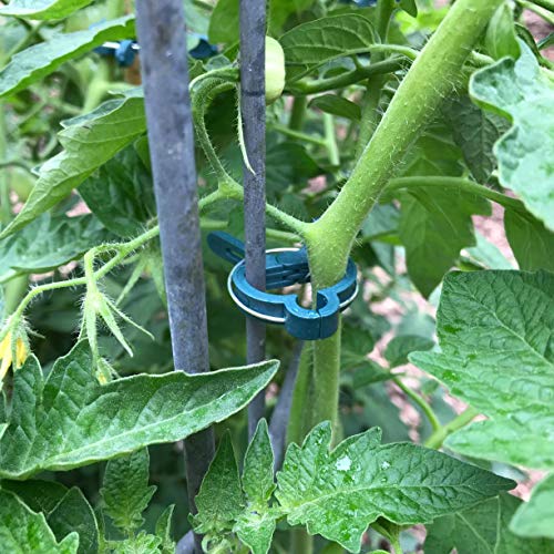 Plant Clips 40 PCS for Gardening Gentle Plant & Flower Clamps Supporting Climbing Vines Stalks Stems Works with Bamboo Stake Tomato Cage Trellis with Bonus 50M Plant Twines
