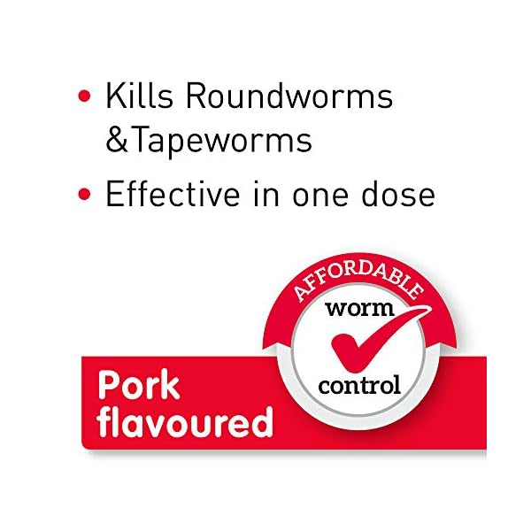 Beaphar-WORMclear-Tablets-for-Large-Dogs Beaphar | WORMclear® Tablets for Dogs up to 40kg | Kills All Common UK Intestinal Worms (Roundworms & Tapeworms) | Vet…