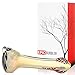 4.5'' Best Seller Thick And Durable Hand Spoon
