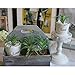 LianLe Artificial Succulent Plants Home Creative Decoration Succulent Flowers
