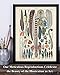 Plumes Feather Illustration - 11x14 Unframed Art Print - Makes a Great Home and Office Decor and Gift for Feather Enthusiasts
