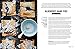 Comfort Food (Williams-Sonoma): Recipes for Classic Dishes & More