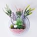 kathson Home Decoration Pot Wall Hanging Mount Bubble Aquarium Bowl Fish Tank Aquarium(White,7.6in H:3.6in) (White)