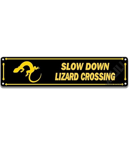 Amazon.com: GRAPHICS & MORE Plastic Sign Lizard Crossing - 6