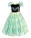 Cotrio Little Girls Anna Coronation Dress Princess Anna Costume Dress up Halloween Cosplay Fancy Dresses Size 3T (2-3yrs, Green)