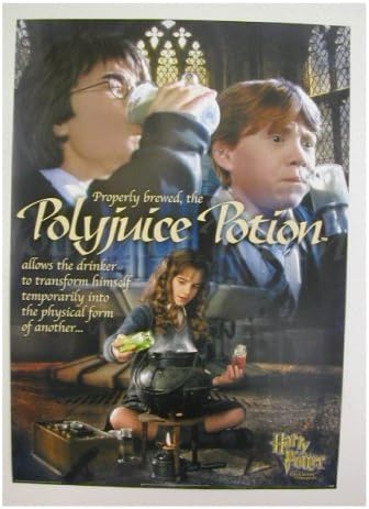 Harry Potter Poster The Chamber of Secrets Polyjuice Potion Ron Harry