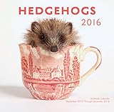 Hedgehogs 2016 Mini: 16-Month Calendar September 2015 through December 2016 by