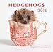 Hedgehogs 2016 Mini: 16-Month Calendar September 2015 through December 2016 by