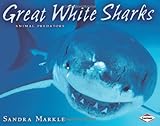 Great White Sharks (Animal Predators)
