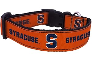 ALL STAR DOGS NCAA Syracuse Orange Dog Collar, Team Color, Medium