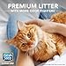 Fresh Step UltraCare with Febreze Freshness, Clumping Cat Litter, Scented, 17 Pounds