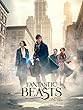 Fantastic Beasts and Where to Find Them