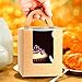 Clear Bakery Pastry Brown Kraft Paper Single Cupcake Boxes With Window And Handle Wholesale(50PCS)