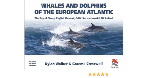 Whales And Dolphins Of The European Atlantic The Bay Of -