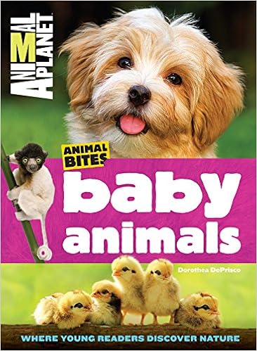 Baby Animals (Animal Planet Animal Bites) Baby Animals (Animal Planet Animal Bites)