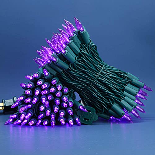Purple LED Christmas Lights, 66 Ft 200 Counts UL Certified Green Wire