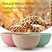Lightweight Degradable Wheat Straw Bowls 6