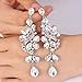 BriLove Wedding Bridal Dangle Earrings for Women Victorian Style Crystal Cluster Teardrop Leaves Dangle Earrings Clear Silver-Tone