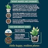 Westland Houseplant Potting Mix 4L Peat Free Soil with Seramis view 2