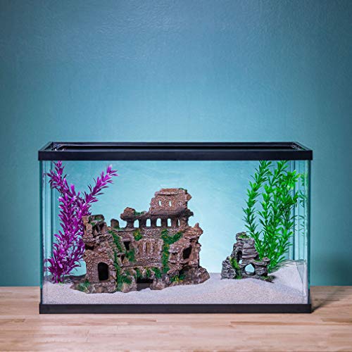 Aquatic Roman Colosseum Pillars Gladiators Large Aquarium