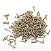 RZDEAL 200 PCS Miniature Nails Round Head Brass Nails for Small Hinges Doll Houses Delicate Boxes Mini Craft Projects(DIY, 0.05'' x 0.3'')