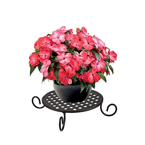 AISHN Metal Plant Stand Indoor Outdoor, Iron Art Flower Pot Holder Rack, Short Potted Supports, Garden Pots Containers Corner Stands (1pcs,Black) - Thumbnail 4