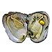 (15PCS) 2017 Fashion 7-8mm Oysters with Large Oval Pearl inside Birthday Gifts (7-8mm)