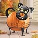 Collections Etc Decorative Dog Pumpkin Holder with Light-up Eyes, Black