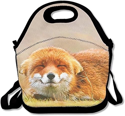 Starowas Cute Smiling Fox Printed Portable Lunch Bag Carry Case Tote With Zipper Strap Box Cooler Container Bags Picnic Outdoor Travel Fashionable Handbag Pouch For Women Men Kids Girls