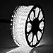 DELight 150ft LED Rope Light Valentines Home Holiday Party Disco Restaurant Cafe Decor 2 Wire 1620pcs Bulbs White