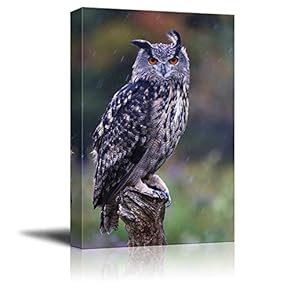 Canvas Prints Wall Art - A Eurasian Eagle Owl Standing on a Stump in The Rain | Modern Wall Decor/Home Decoration Stretched Gallery Canvas Wrap Giclee Print & Ready to Hang - 12" x 18"