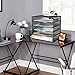 Samstar Desk Organizer, Mesh File Paper Letter Tray with 5 Stackable Trays and Sorter, Black