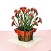 Paper Love Carnations Pop Up Cards (Carnation V1)