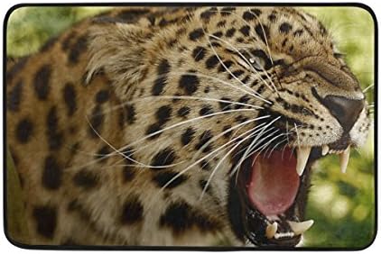 Anti Slip Floor Mats For Home 23.6 Inch By 15.7 Inch,Leopard Teeth Face Big Cat Polyester Door Mat For House