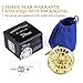 Piscifun Blaze Mid Arbor Fly Fishing Reel with CNC-machined Aluminum Alloy Body 5/6 Gold